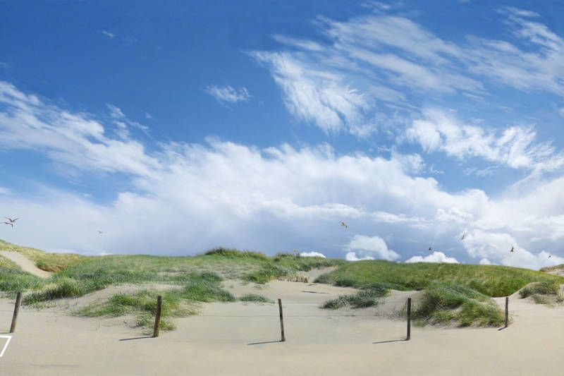 Callantsoog Beach LekkerNaarZee